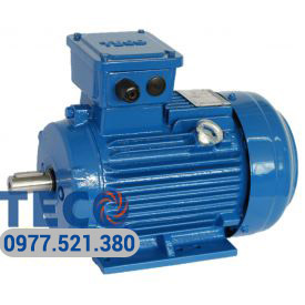 Motor Teco IE2 tiết kiệm điện